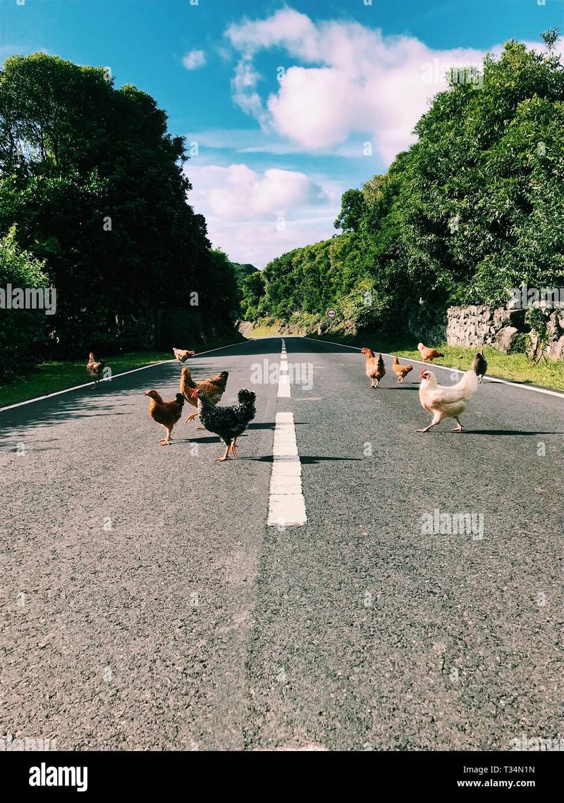 Best chicken road españa in Spain